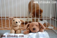 4049_07_20_01 4049_07_20_01