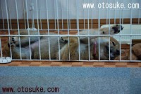 4055_07_20_02 4055_07_20_02