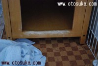 DSC_4316_2009_09_02_b