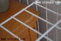 DSC_4317_2009_09_02_c