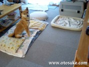 2010_01_13_a 2010_01_13_a